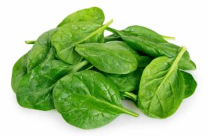 Fresh spinach