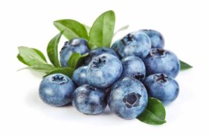 fresh blueberry