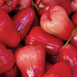 Health Benefits of Rose Apple Fruit