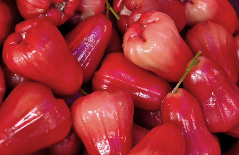 Health Benefits of Rose Apple Fruit