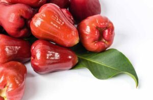 Water rose apple fruit