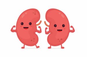 better kidney function