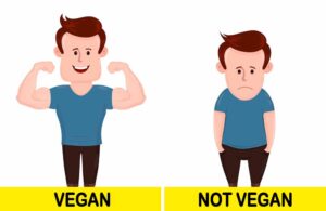 You have more energy when going vegan